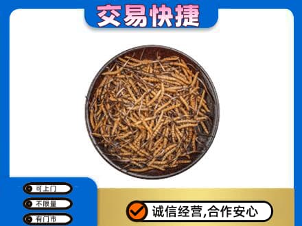 沧州市南皮礼品回收虫草.jpg